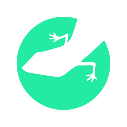 lizard global a software development company in malaysia
