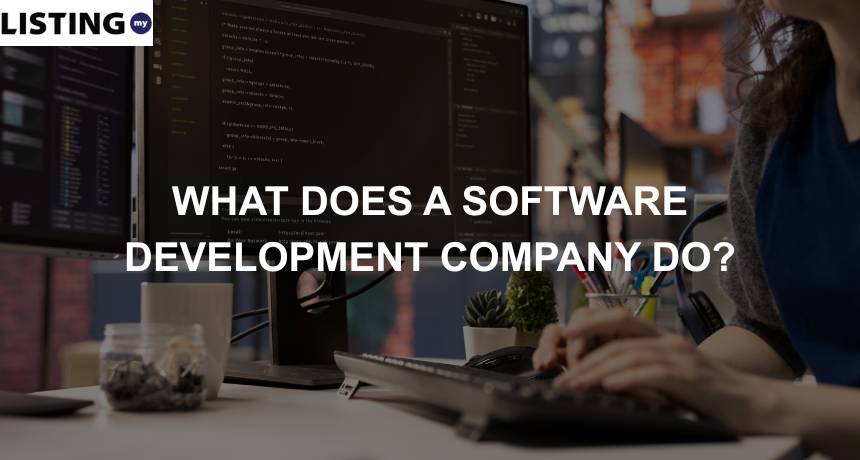 malaysian employees in a software development company