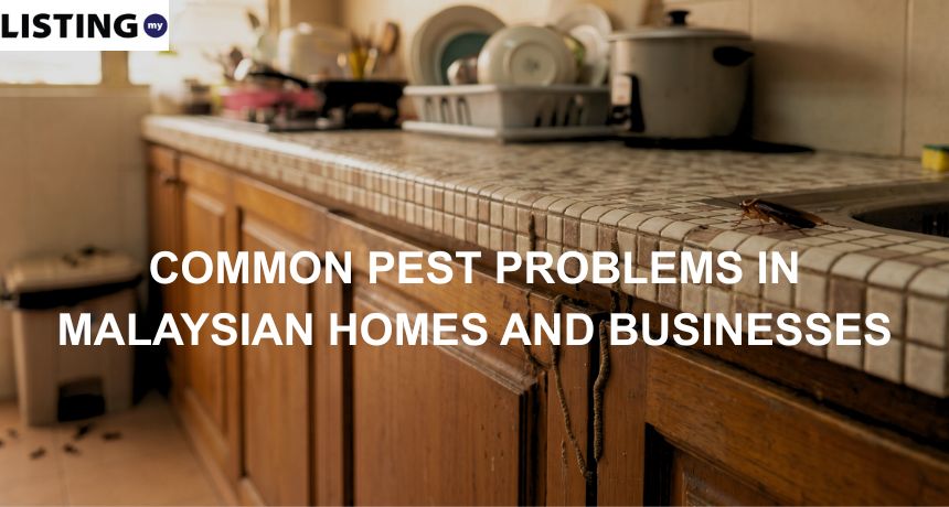 A cockroach on a kitchen countertop near the sink and termite mud tubes running down wooden cabinet doors.