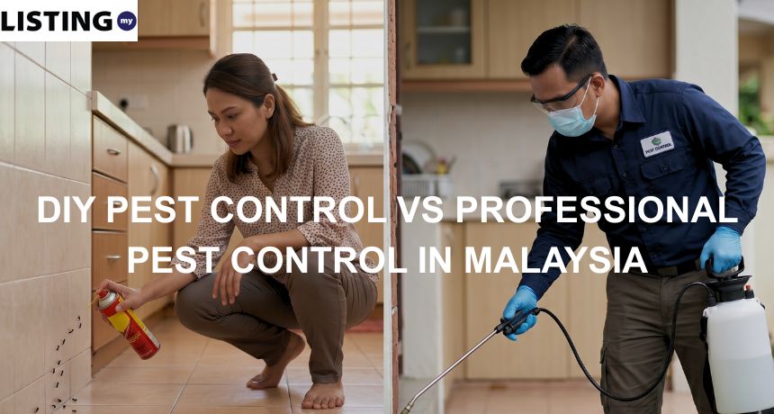 DIY Pest Control Vs Professional Pest Control In Malaysia