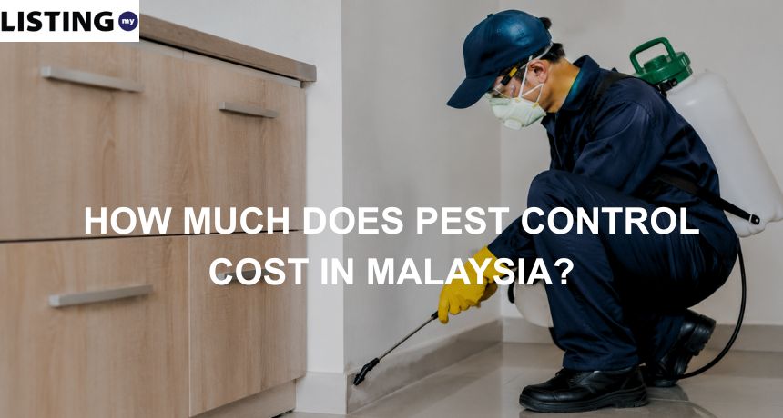Pest control technician spraying along a clean kitchen wall in a modern home during professional pest treatment service.