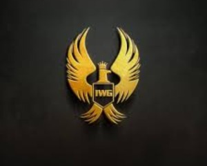 infinity-world-group-sdn-bhd-logo-1